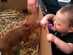 Bottle Baby and Baby at Farmers Market