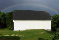 Romeldale/CVM sheep! Reserve now for 2013!