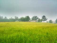 Internship on Small Heritage Farm