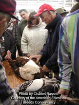 Mark Hess visiting classroom