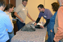 Rabbit Workshop