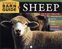 Storey's Barn Guide to Sheep